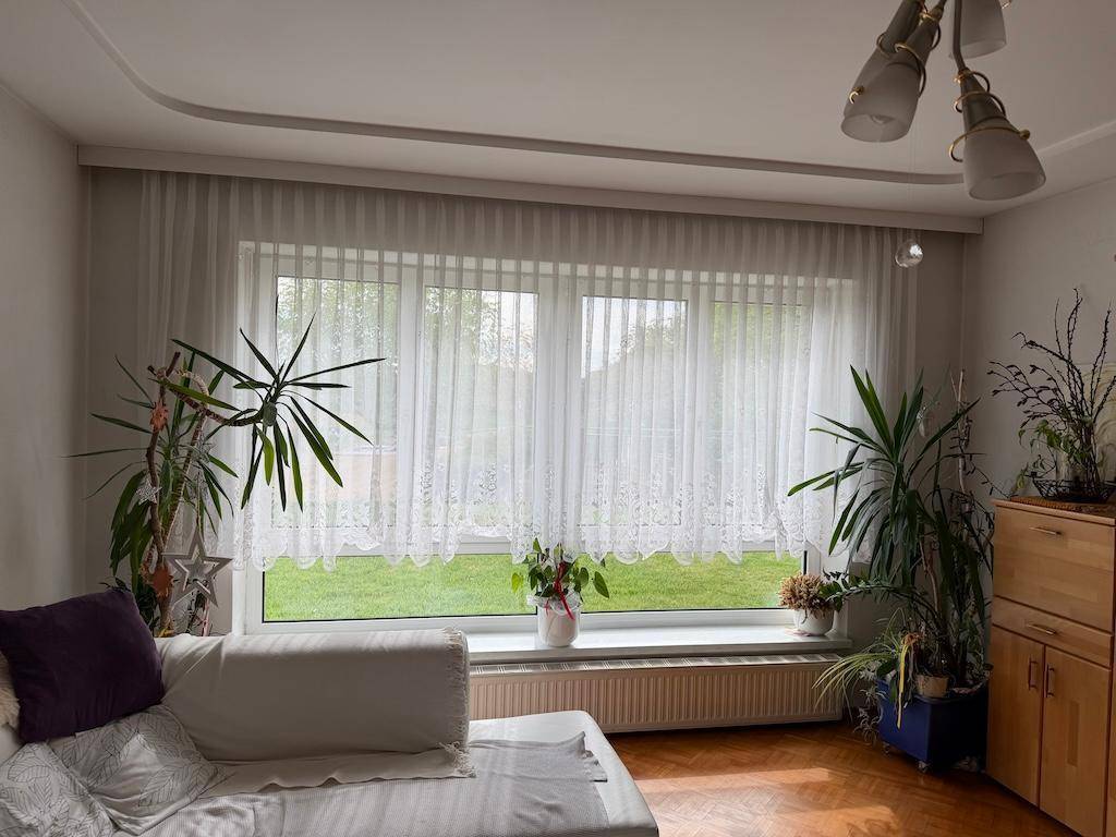 Helles Wohnzimmer mit großen Fenstern, die einen Blick ins Grüne bieten, und Zimmerpflanzen.