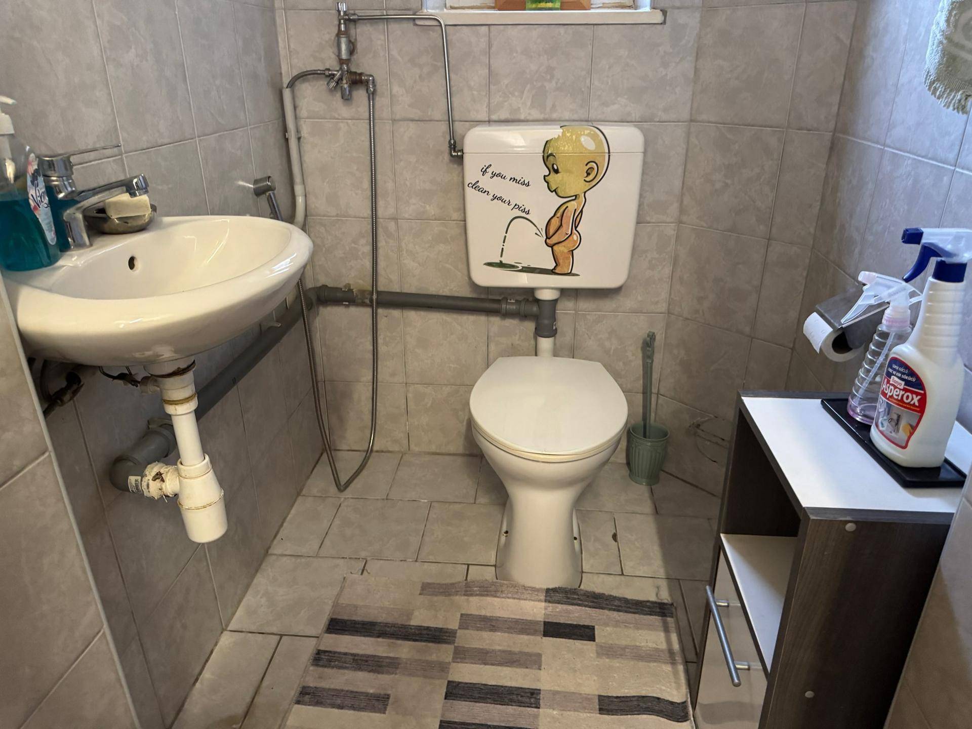 Kleines Badezimmer mit WC, Waschbecken und gefliesten Wänden.