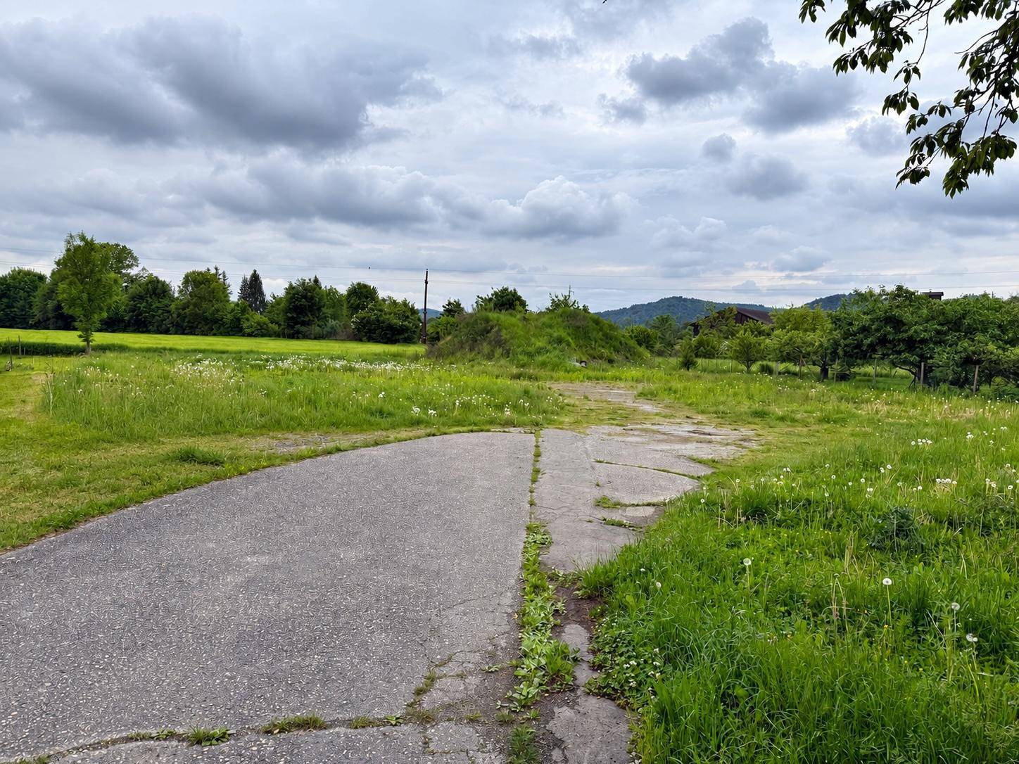 Weitläufige Wiese mit einem alten Weg unter einem bewölkten Himmel, umgeben von Bäumen und Hügeln.