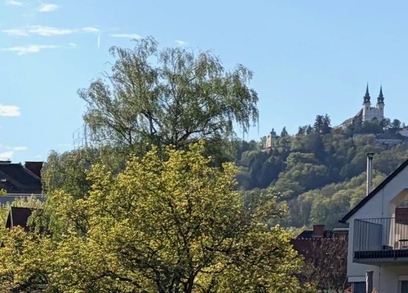 NEUBAUPROJEKT IN BESTLAGE AM FUSSE DES AUBERGS! - Mehr