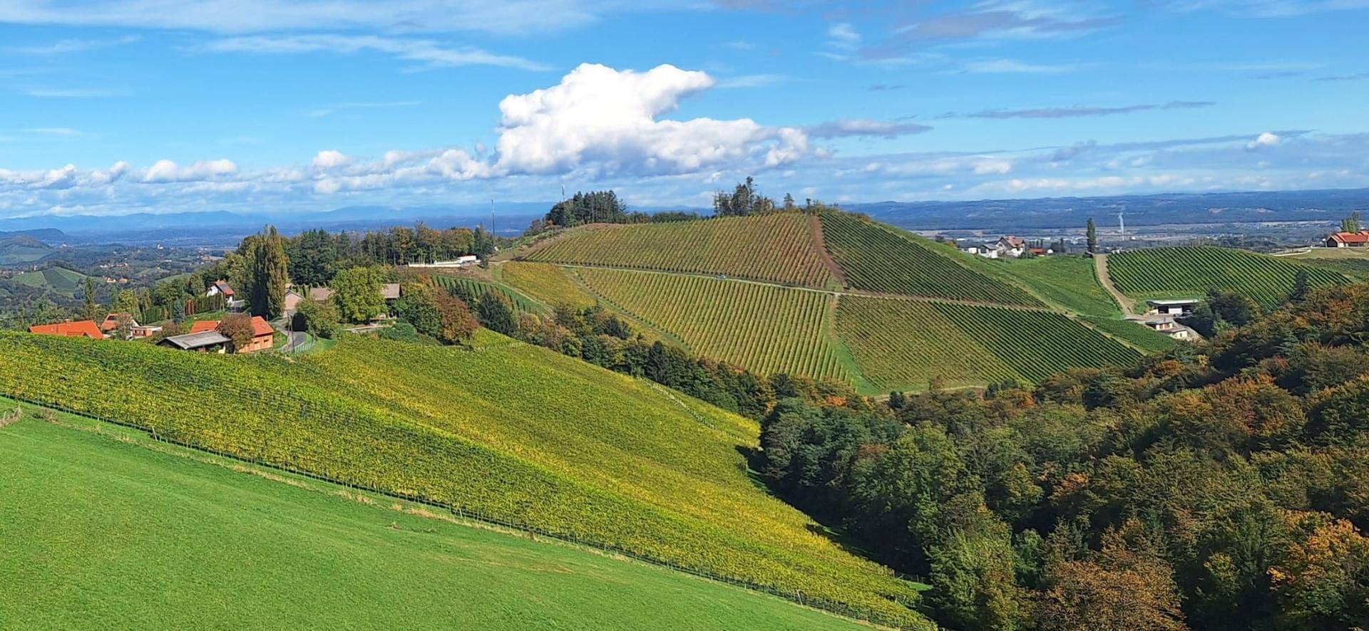 ehemaliger Gutshof mit Traumblick an der südsteirischen Weinstraße - Widok 2