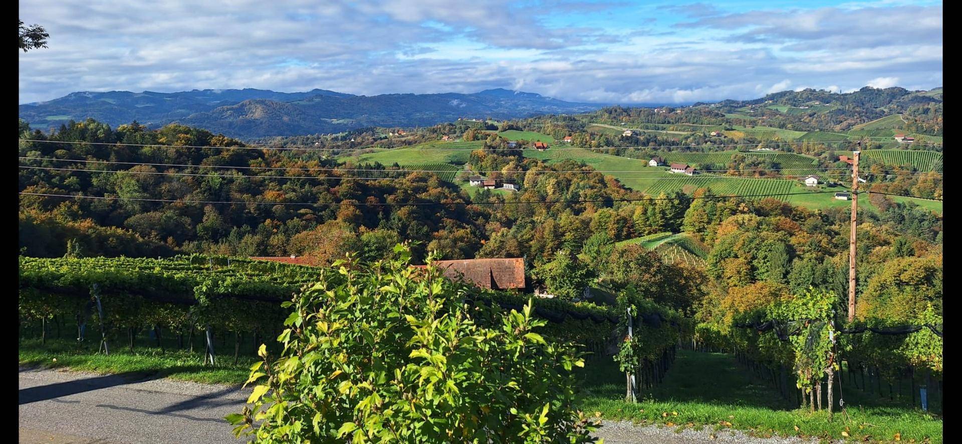 ehemaliger Gutshof mit Traumblick an der südsteirischen Weinstraße - Widok 3
