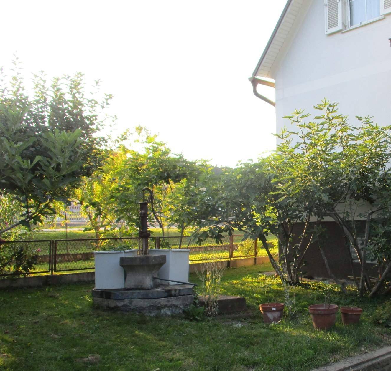 Gartenbereich mit alter Wasserpumpe und Obstbäumen unter strahlendem Himmel.