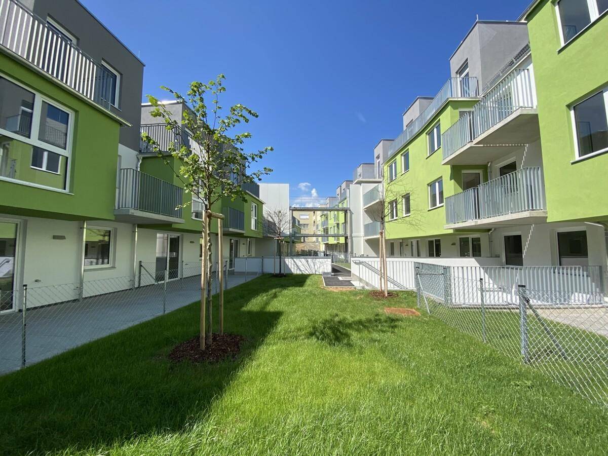 Außenansicht eines Neubaus mit leuchtend grünen Fassaden und einem sonnigen Gemeinschaftsgarten.