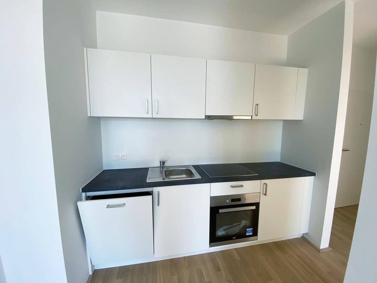 Nahaufnahme der modernen Einbauküche mit Spüle, Induktionskochfeld, Backofen und integriertem Geschirrspüler.
