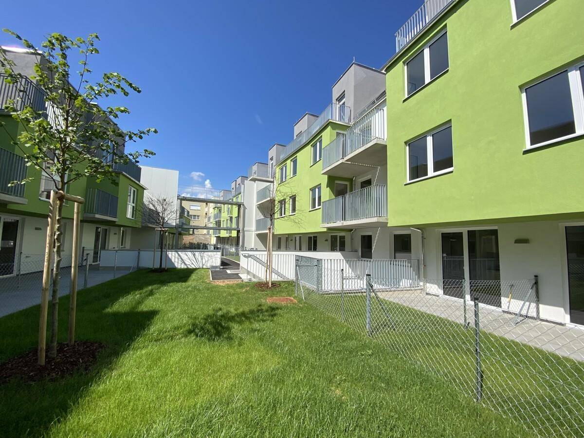 Gepflegter Gemeinschaftsgarten mit Rasenflächen und jungen Bäumen zwischen den Wohngebäuden.