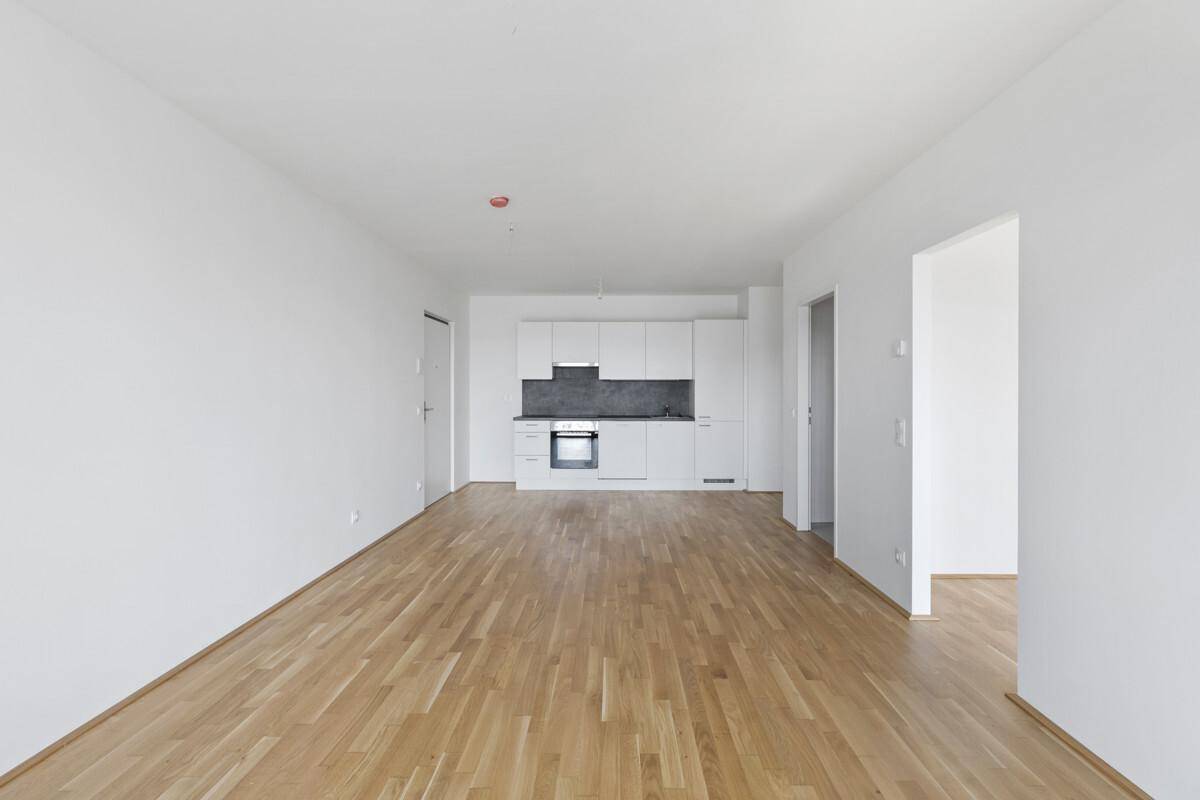 PMP456-AN-22420 Top 30-5