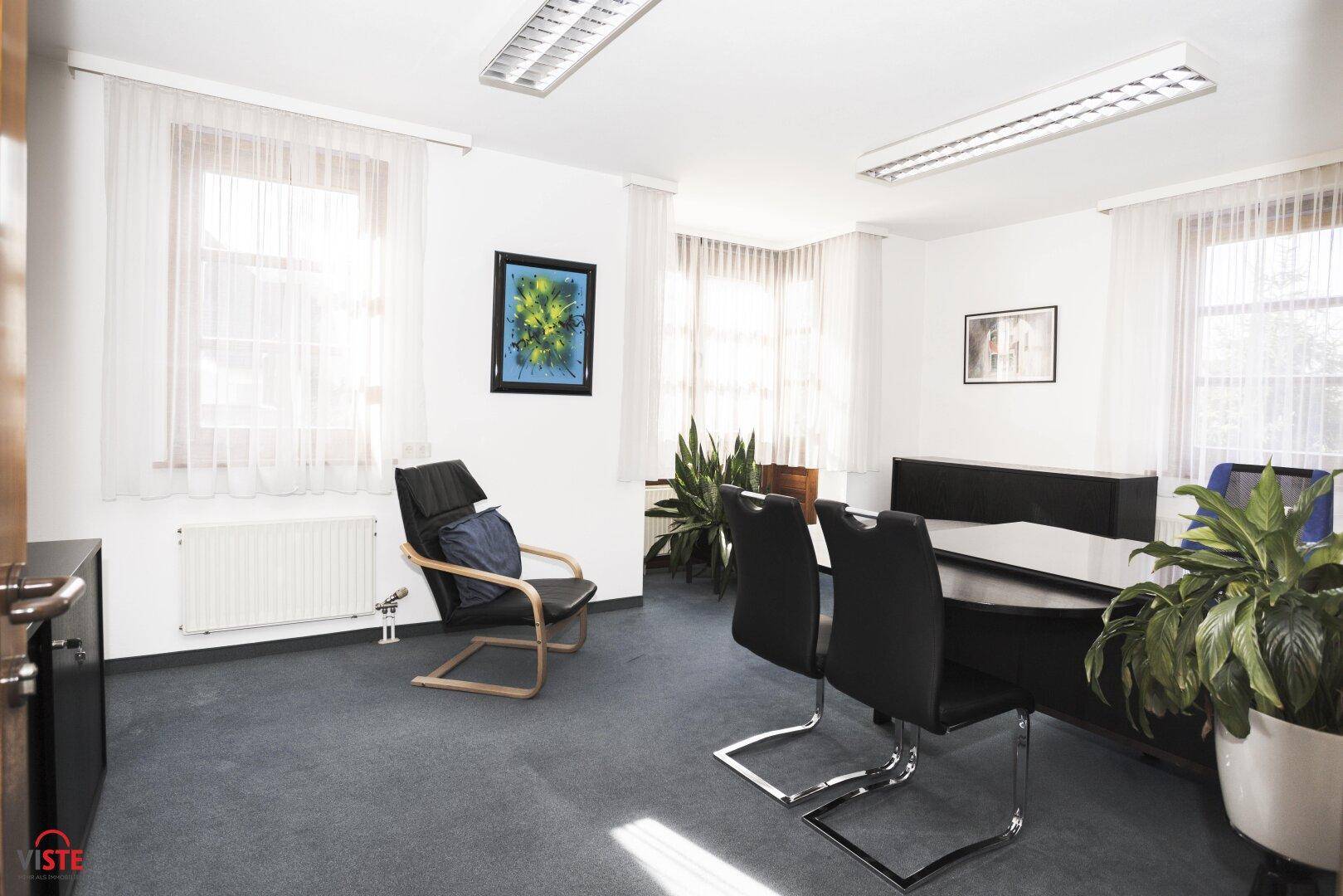 Büro mit einem Besprechungstisch, bequemen Stühlen und Pflanzen, die für eine angenehme Atmosphäre sorgen.