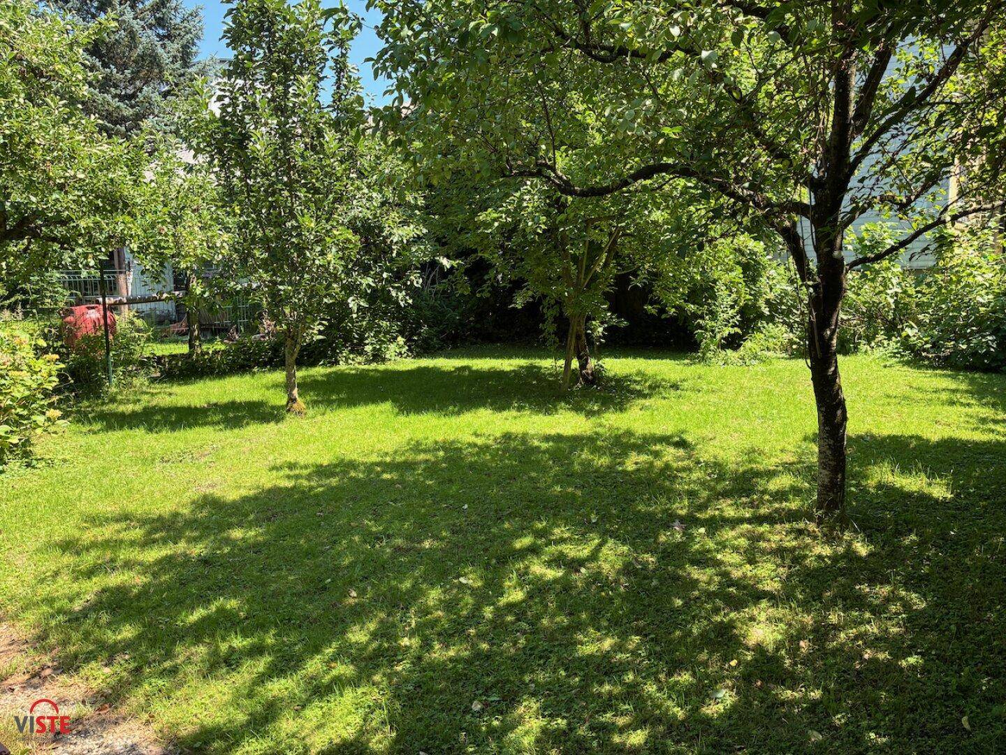 Großer, sonniger Gartenbereich mit Rasenfläche und schattenspendenden Obstbäumen.