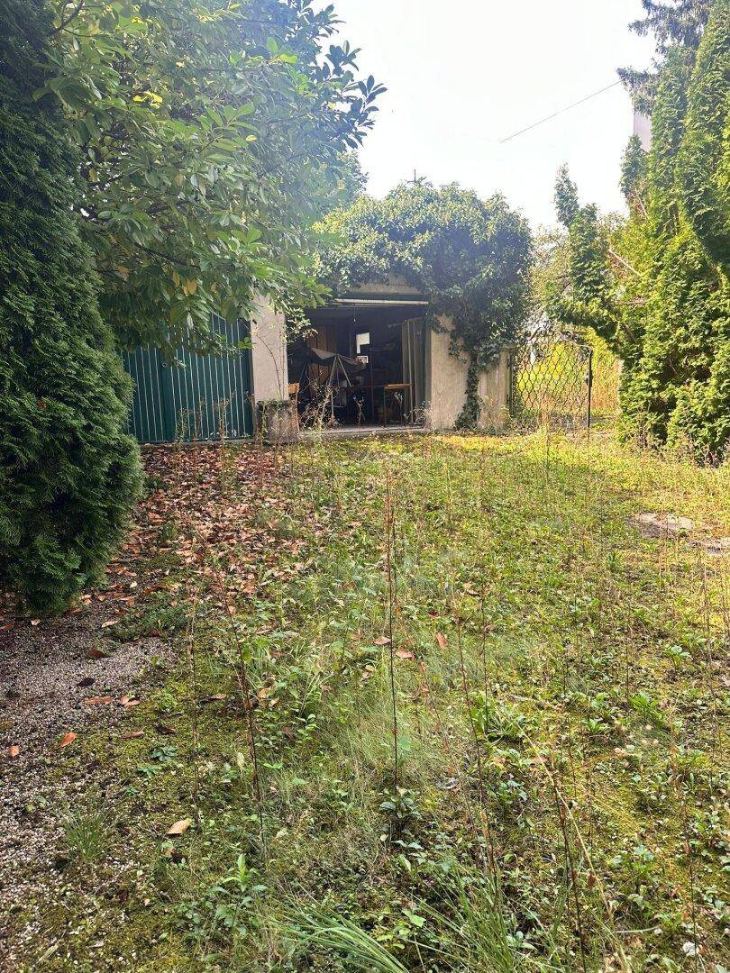 Überwachsener Gartenbereich mit einem alten Schuppen oder einer Garage im Hintergrund.