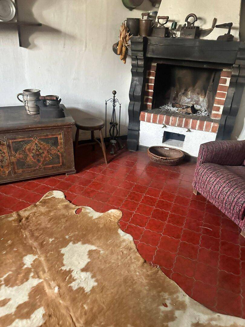 Rustikales Wohnzimmer mit großem Kamin, roten Fliesen und einem Kuhfellteppich.