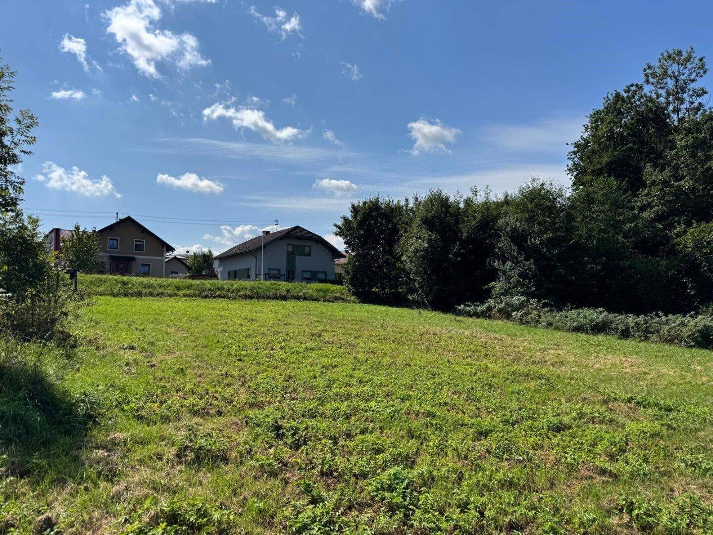 Offene Grünfläche mit Blick auf umliegende Wohnhäuser und bewaldete Bereiche.