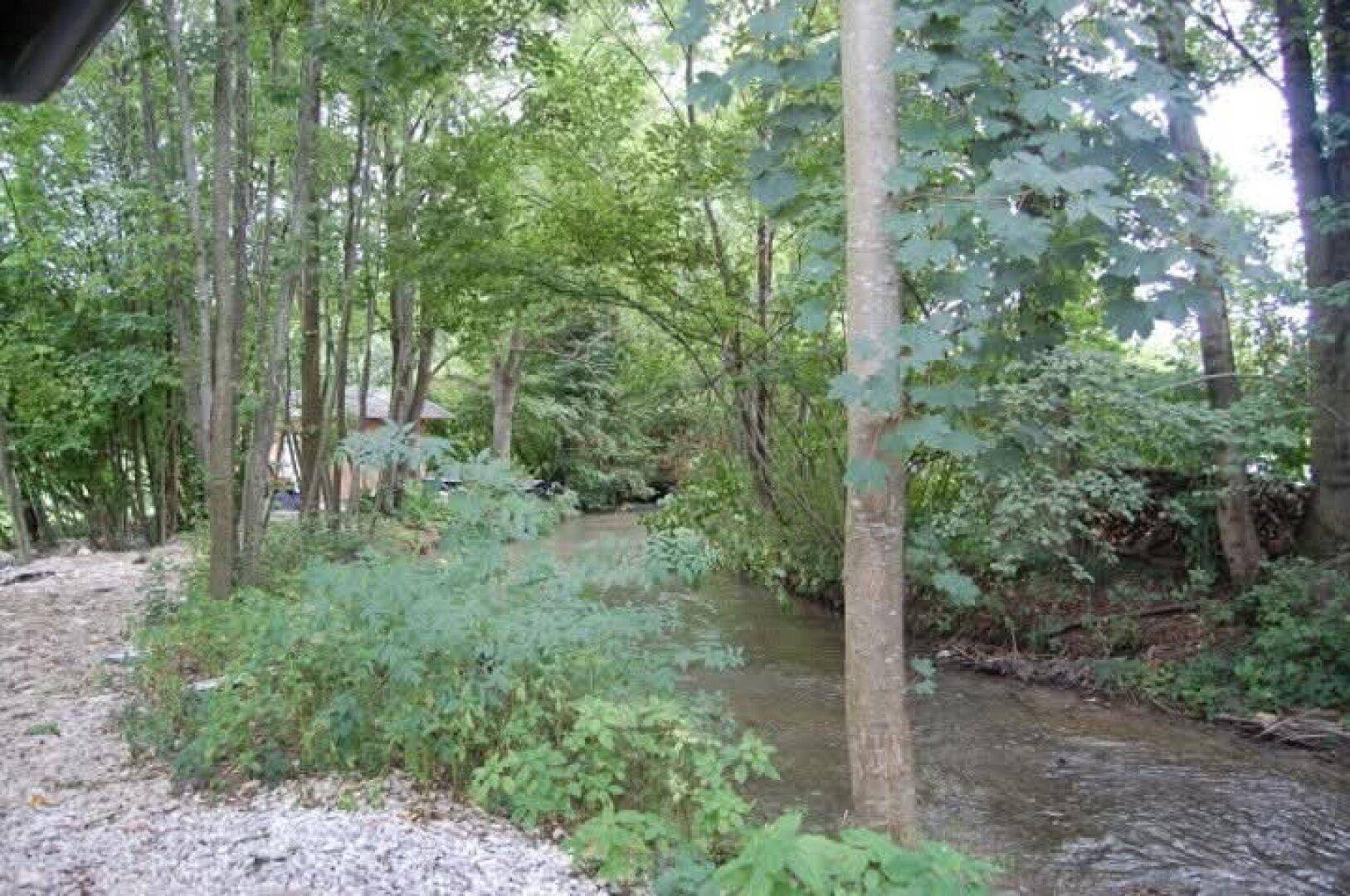 Idyllischer Bachlauf umgeben von dichtem Grün und Bäumen in einer natürlichen Waldlandschaft.