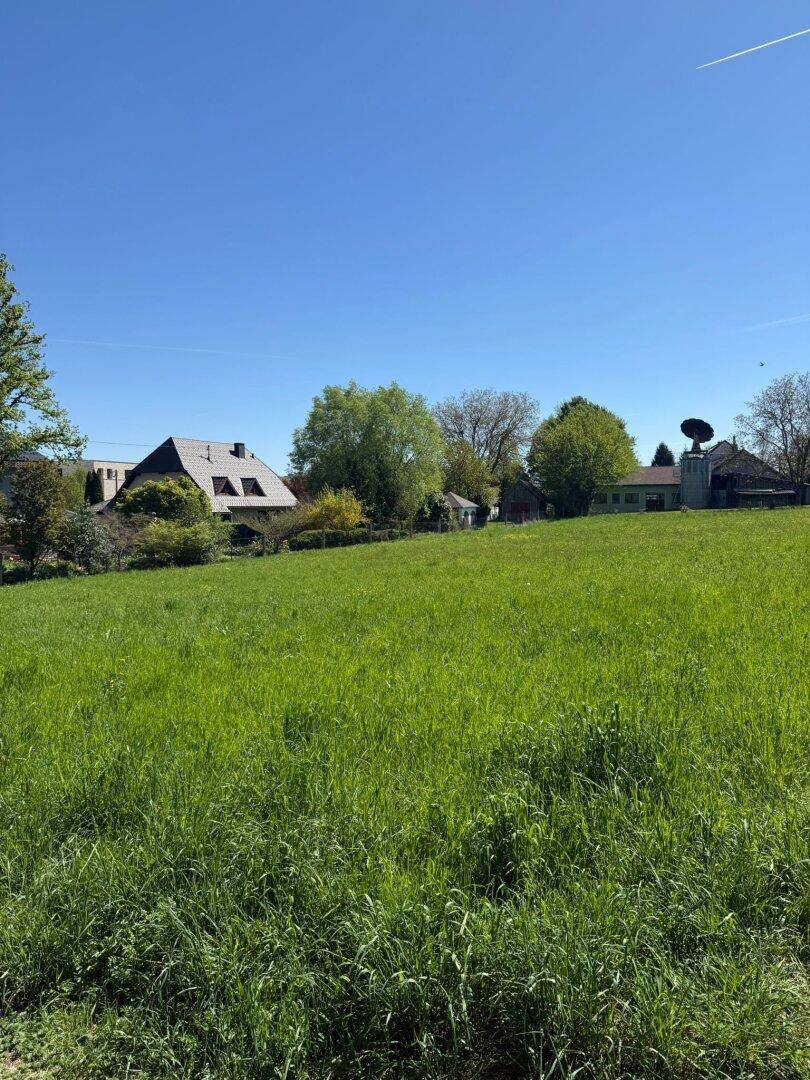 Weitläufige grüne Wiese unter klarem blauem Himmel mit Wohnhäusern im Hintergrund.