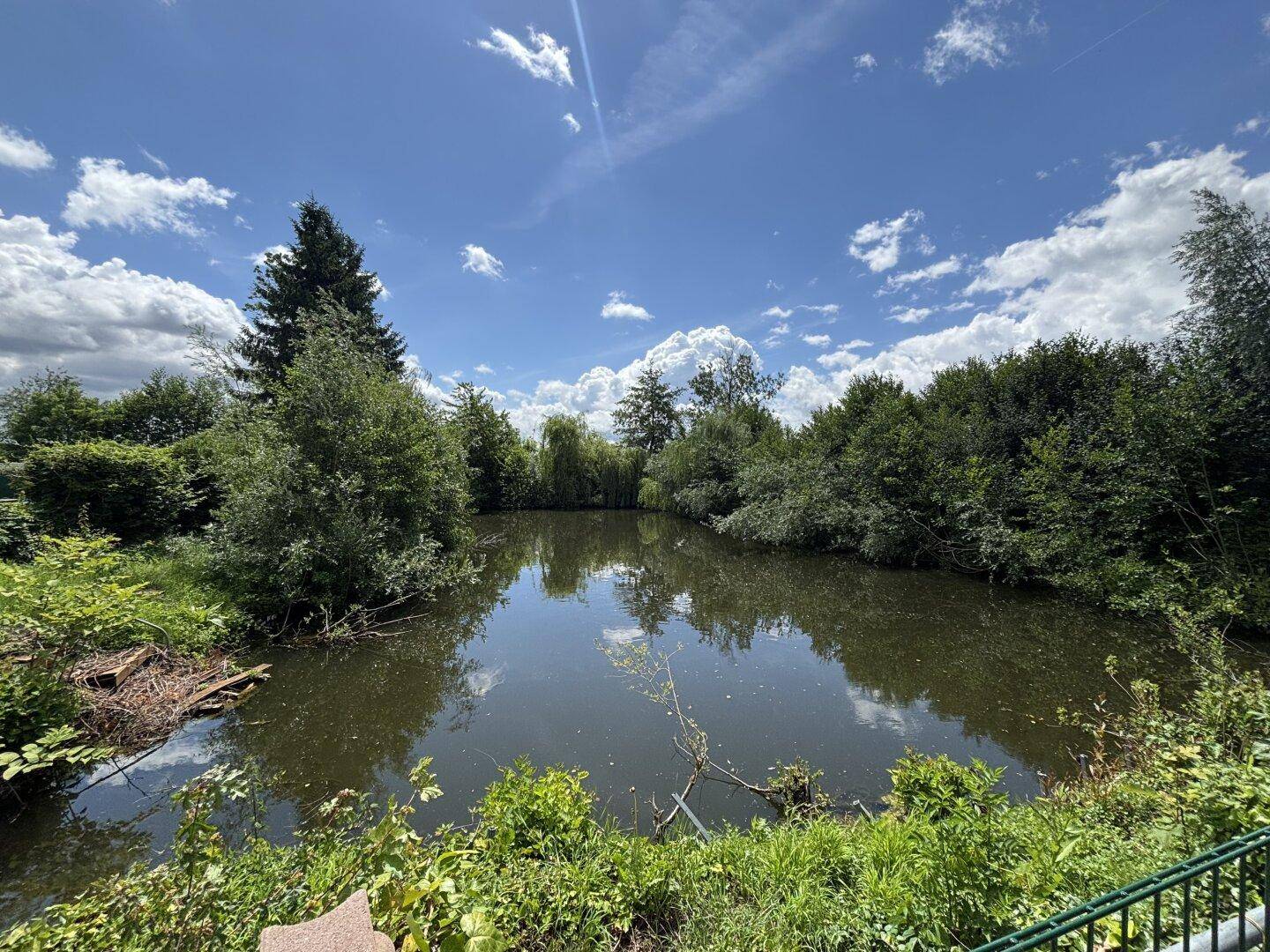 Digitales Angebotsverfahren: Sonniges Freizeitgrundstück mit idyllischem Teich in begehrter Lage von Wels-Puchberg – pohled 2
