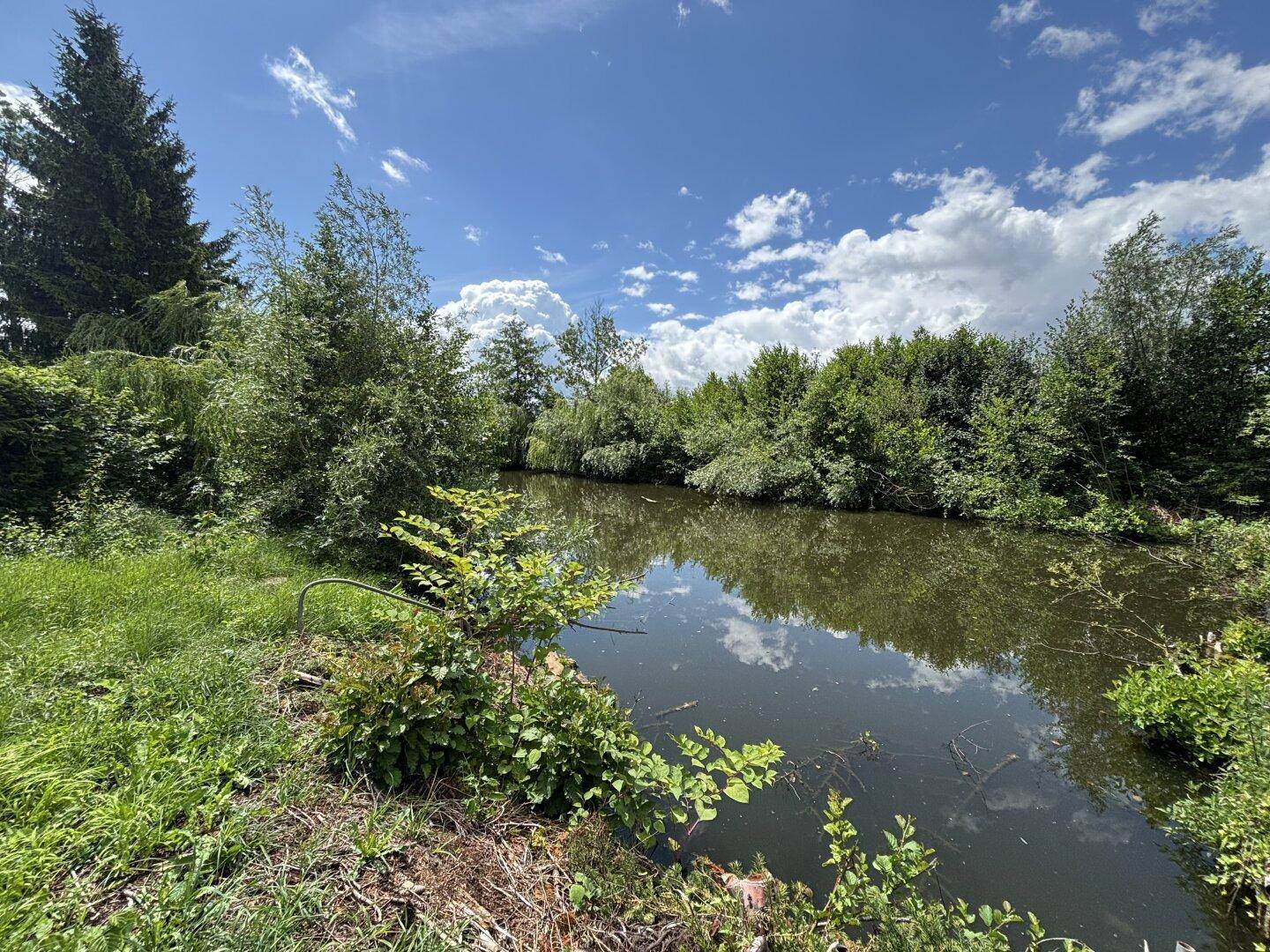 Digitales Angebotsverfahren: Sonniges Freizeitgrundstück mit idyllischem Teich in begehrter Lage von Wels-Puchberg – pohled 3