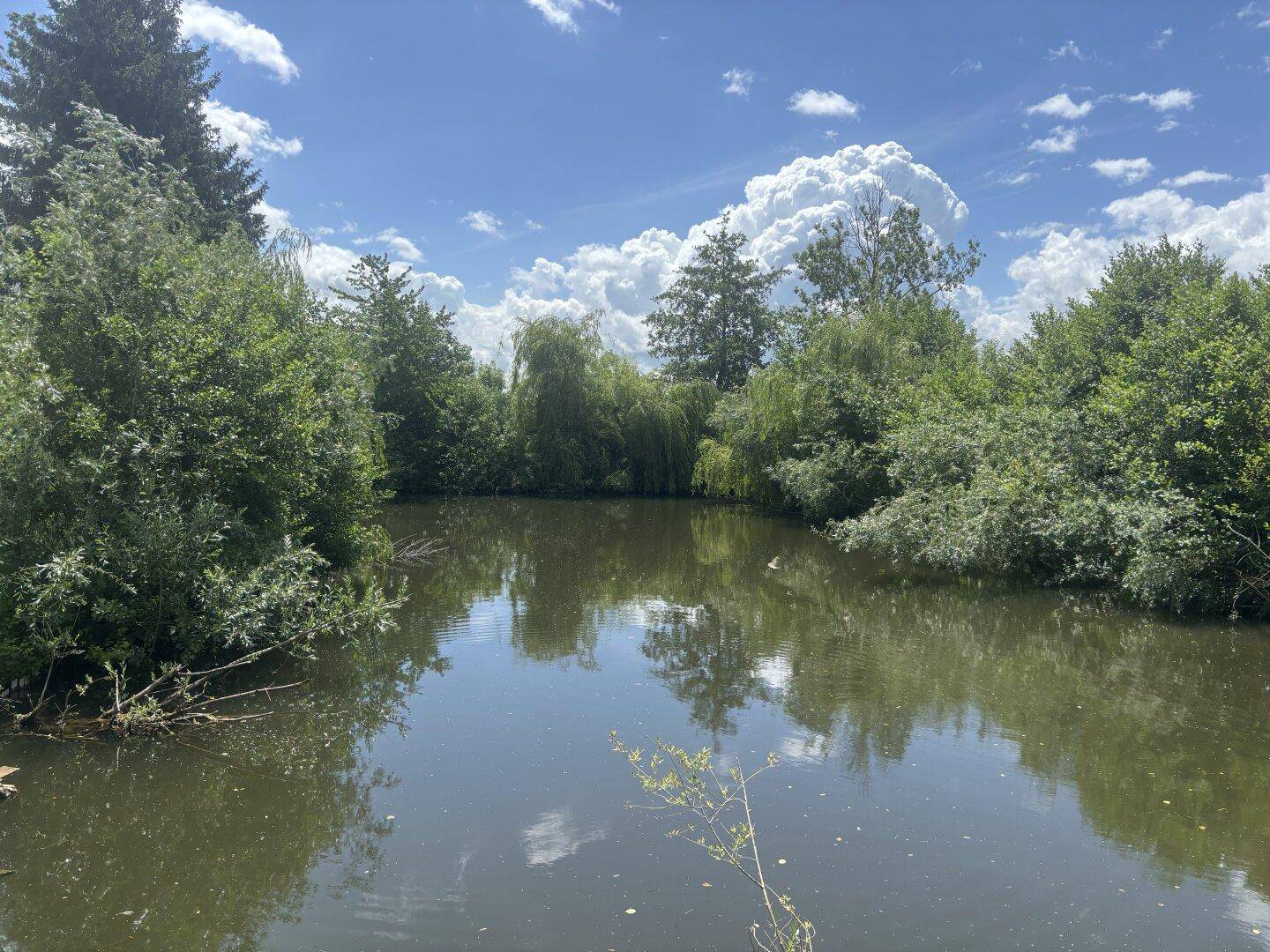 Digitales Angebotsverfahren: Sonniges Freizeitgrundstück mit idyllischem Teich in begehrter Lage von Wels-Puchberg – pohled 4