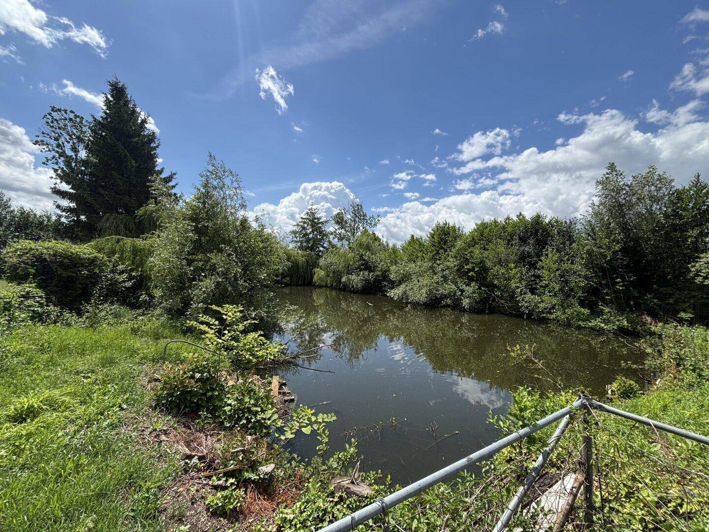 Digitales Angebotsverfahren: Sonniges Freizeitgrundstück mit idyllischem Teich in begehrter Lage von Wels-Puchberg – pohled 5