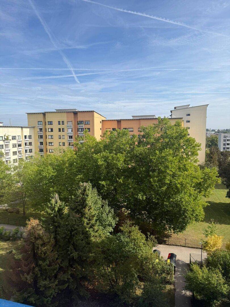 Weitläufiger Ausblick auf grüne Bäume und umliegende Wohngebäude unter blauem Himmel.
