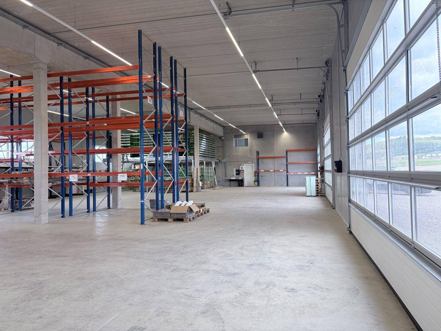 Blick in die Lagerhalle mit einem großen Garagentor mit Fenstern und weiteren Metallregalen.