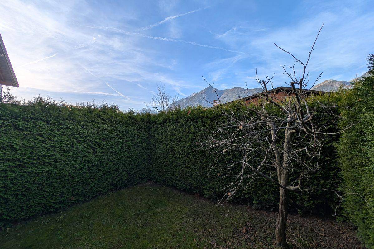 Gepflegter Garten mit hohen Hecken und einem kahlen Baum unter einem weiten blauen Himmel mit Bergblick.