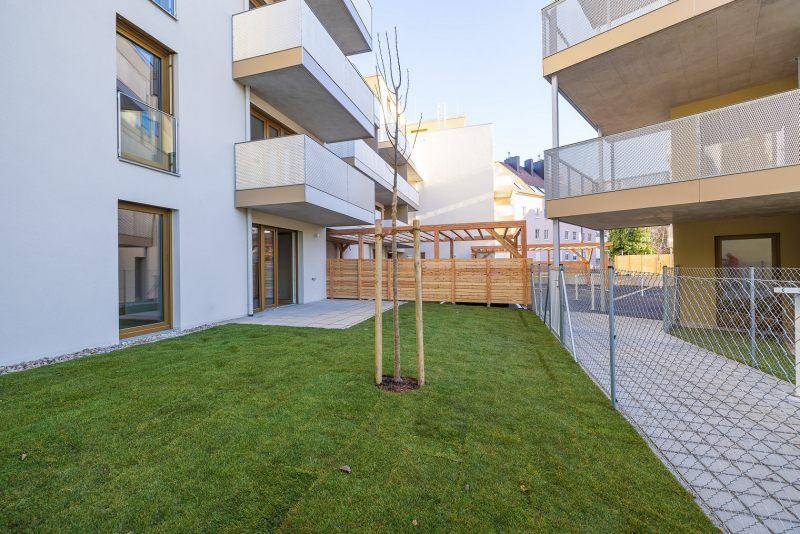Garten, Terrasse 1