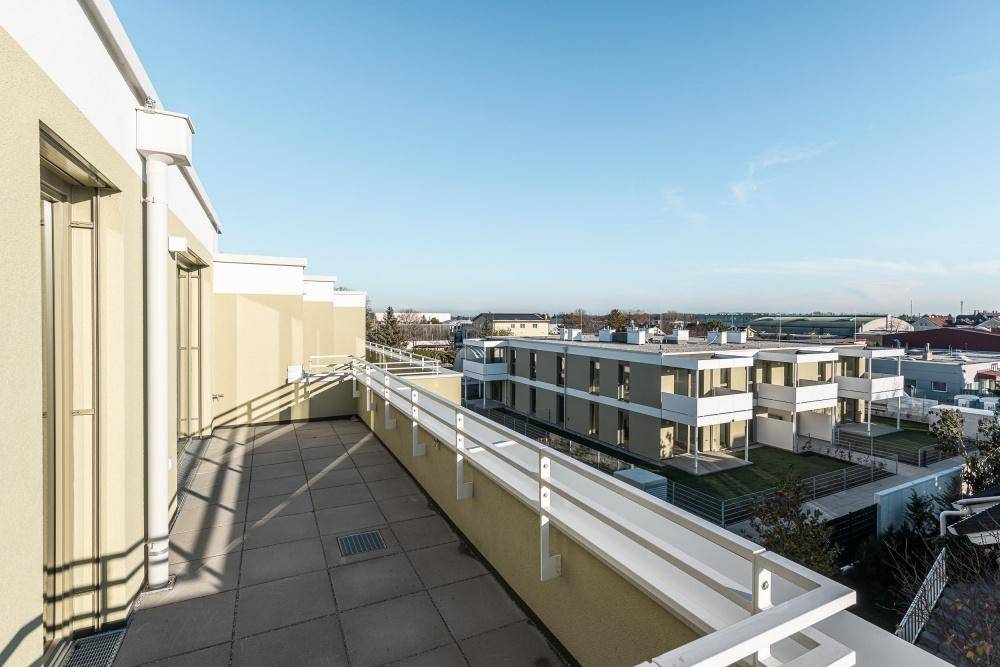 Geräumige Dachterrasse mit Blick auf die umliegende Wohnbebauung und den blauen Himmel.