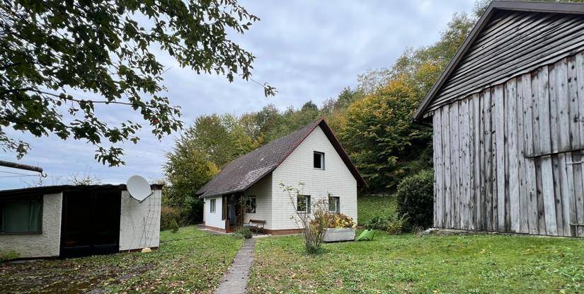 Ansicht des Haupthauses mit Satteldach und einem rustikalen Holzschuppen daneben, umgeben von Bäumen.