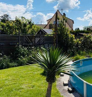 Grüner Garten mit Rasenfläche, Palmen und einem Aufstellpool im Hintergrund.