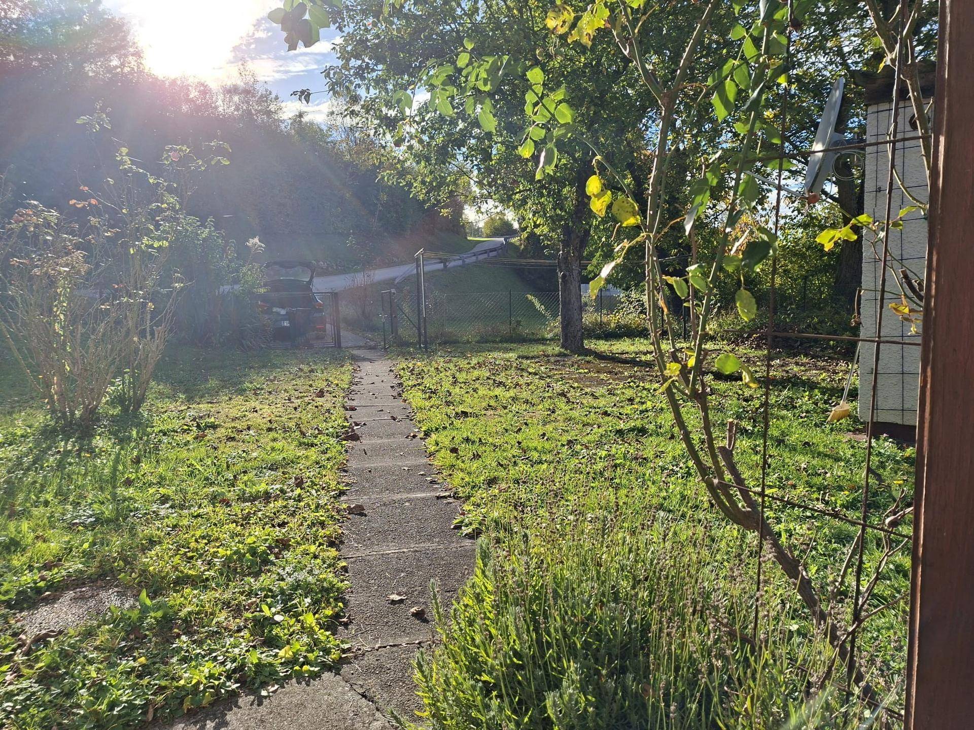 Ein sonniger Gartenweg führt durch grüne Wiesen zu einem Tor, umgeben von Sträuchern und Bäumen.