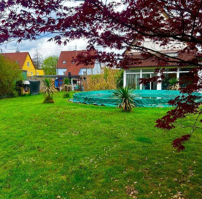Weitläufiger Garten mit Rasenfläche, abgedecktem Pool und rotem Ahornbaum.