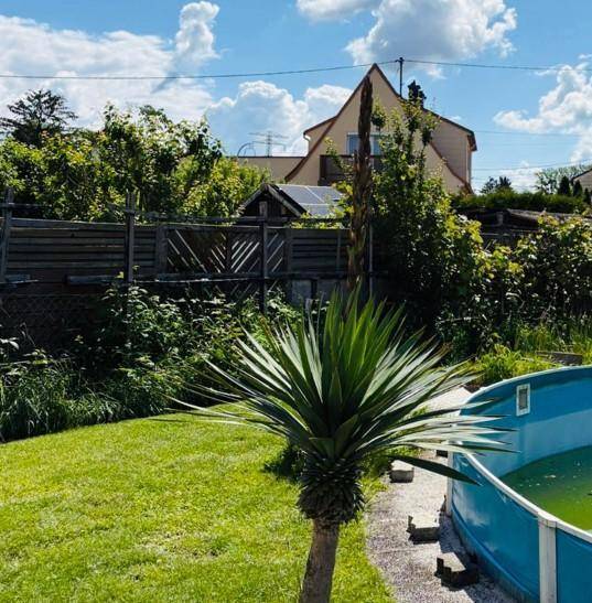 Grüner Gartenbereich mit Yucca-Pflanze und einem Teil des Aufstellpools.