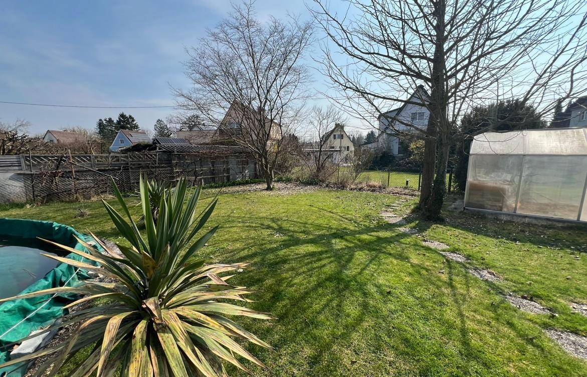 Garten im Frühling mit Rasenfläche, kahlen Bäumen und einem Gewächshaus.