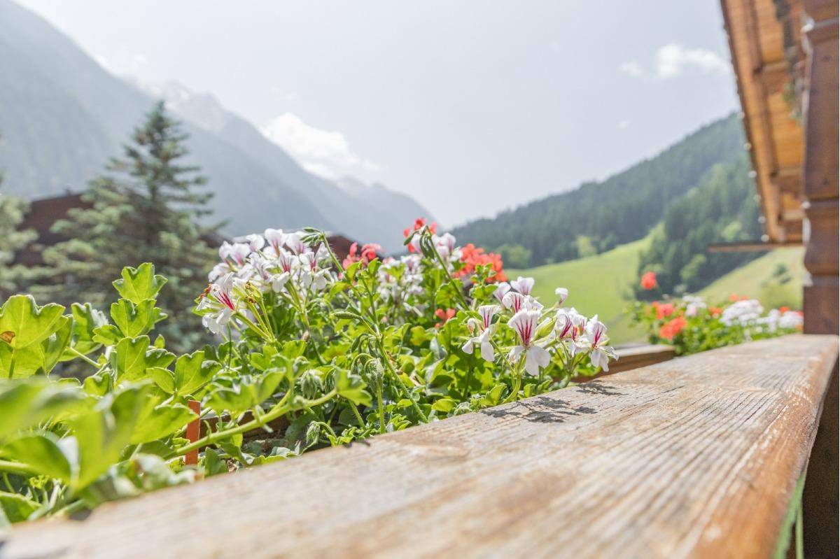 Ausblich Richtung Gletscher