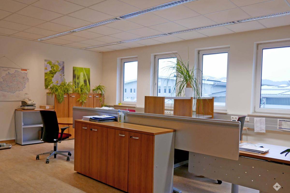 Helles Büro mit mehreren Arbeitsplätzen, Schränken und Pflanzen vor großen Fenstern.