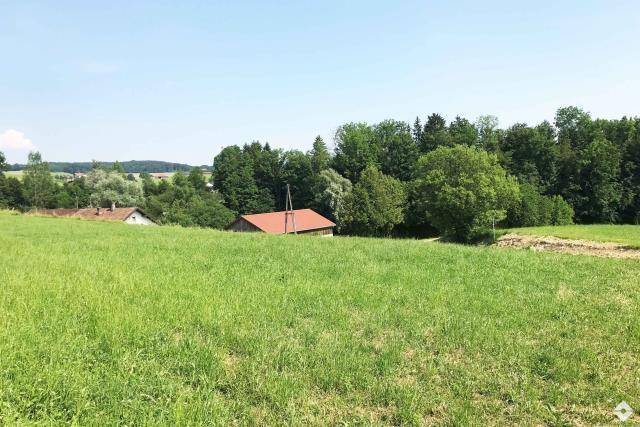Idyllische Wiesenlandschaft mit Bäumen und einem Hausdach in der Ferne unter blauem Himmel.