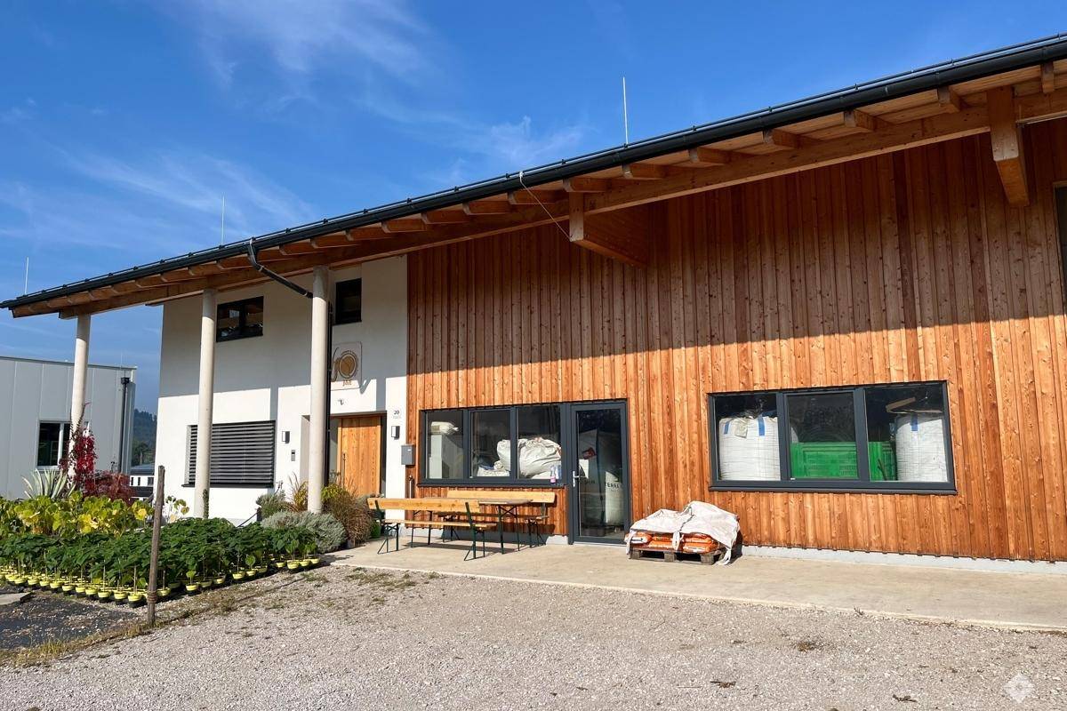 Eingangsbereich des modernen Gebäudes mit Holzfassade, Sitzbank und Pflanzen.