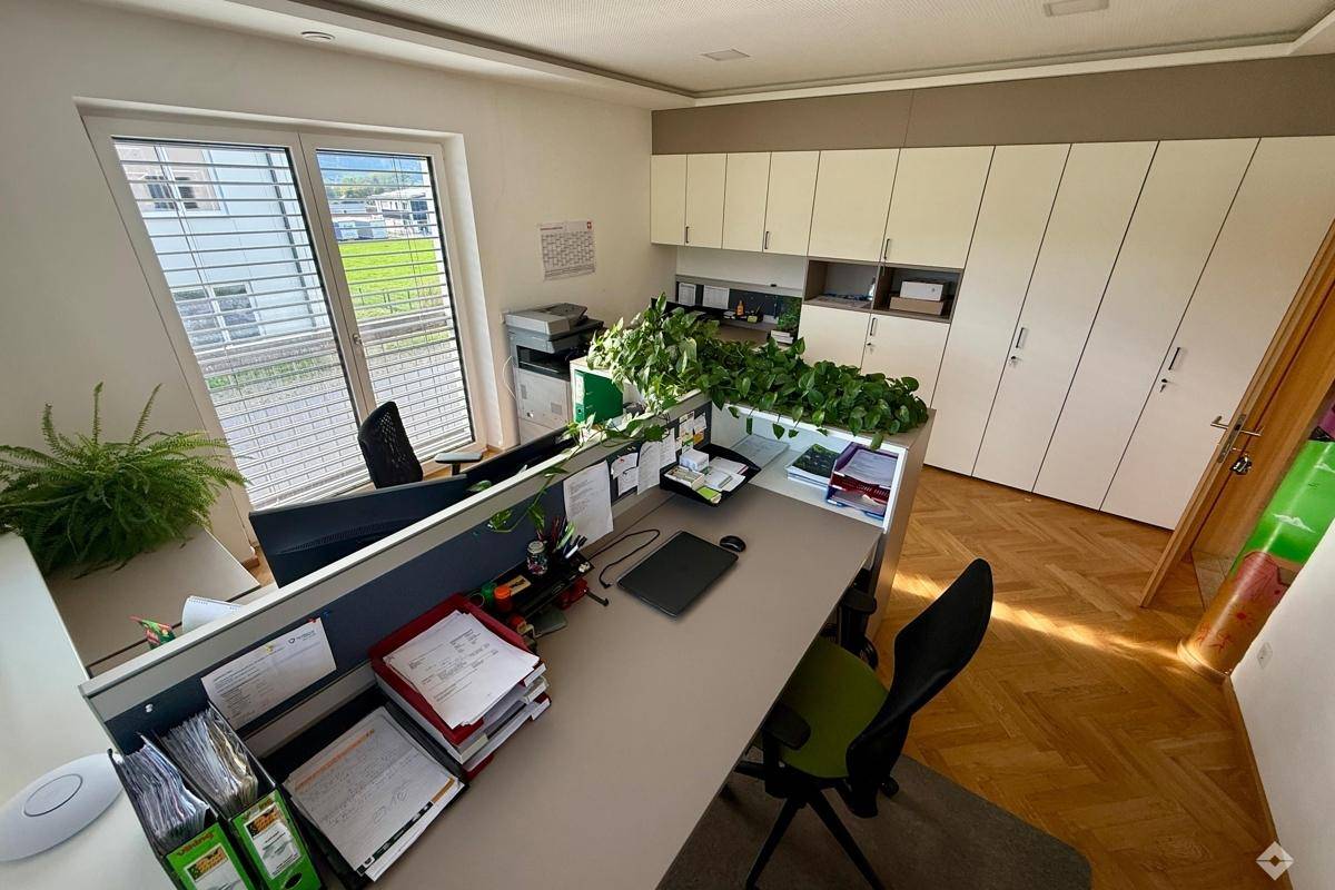 Modernes Büro mit Schreibtischen, Aktenschränken und Blick ins Grüne durch das Fenster.