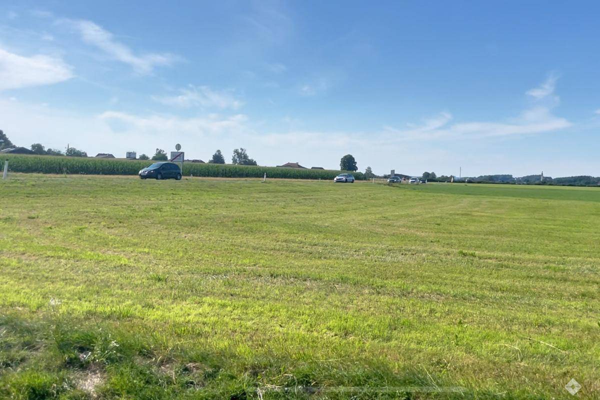 Weite grüne Wiese unter blauem Himmel mit einer Straße und Häusern in der Ferne.