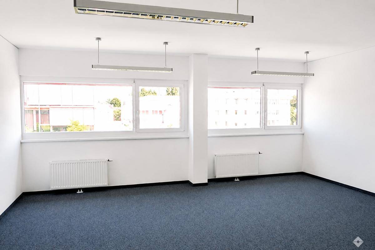 Funktionales Büro mit blauer Teppichauslage, weißen Wänden und mehreren Fenstern, die Tageslicht hereinlassen.