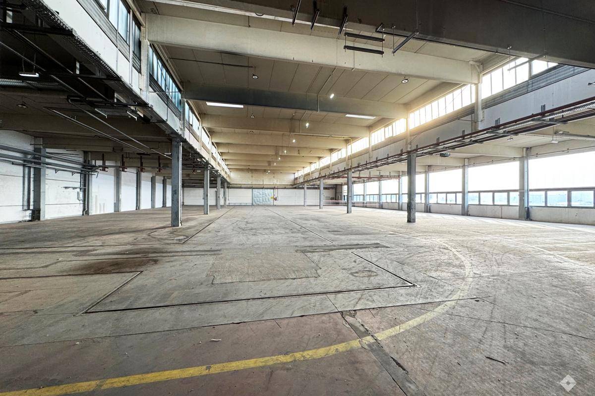 Weitläufige Industriehalle mit Betonboden, tragenden Säulen und Oberlichtern, die für eine helle Atmosphäre sorgen.