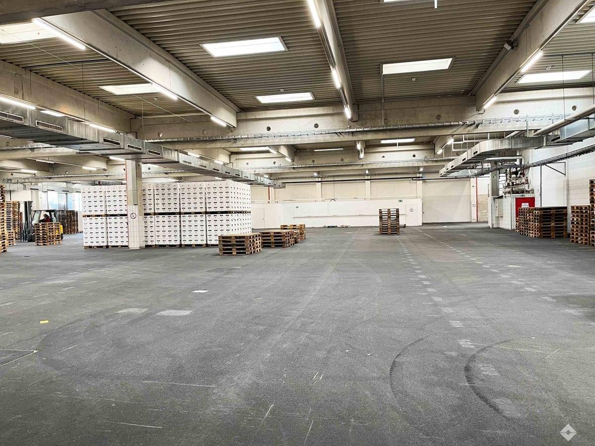 Weitläufige Lagerfläche mit industrieller Beleuchtung, Oberlichtern und Betonstützen, ideal für Logistik.