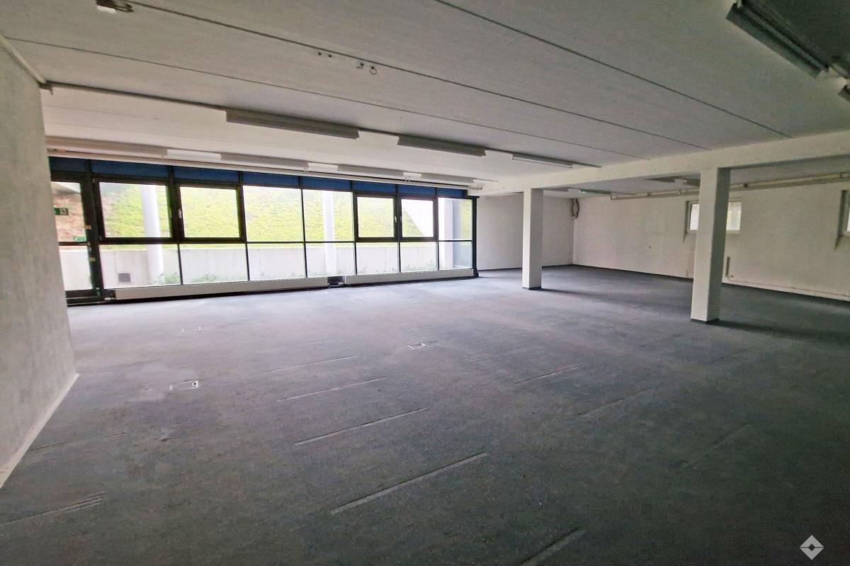 hoelzlhubnerimmobilien-betriebsliegenschaft-wals