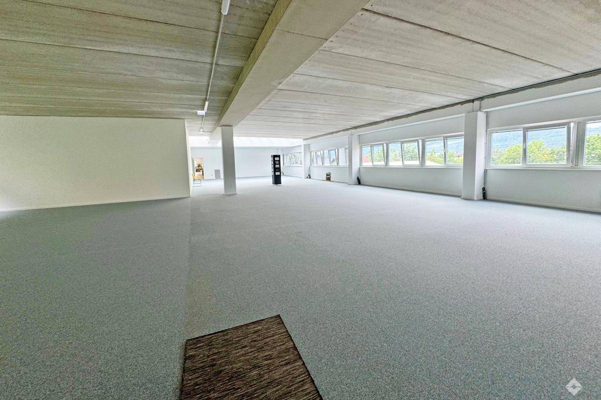 hoelzlhubnerimmobilienbuero-hallein