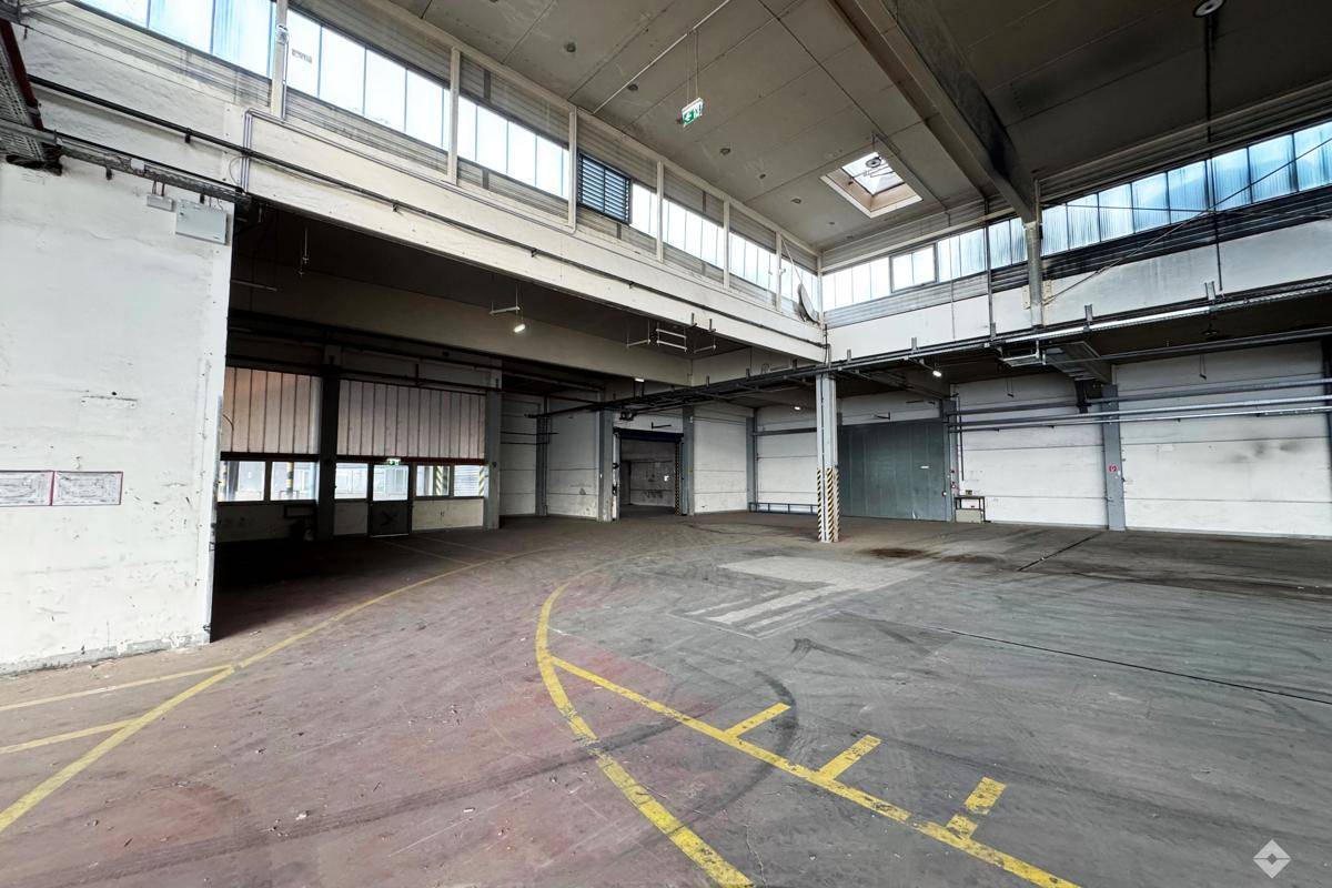 Bereich mit mehreren Rolltoren und Laderampen in einer Industriehalle, gekennzeichnet durch gelbe Bodenmarkierungen.