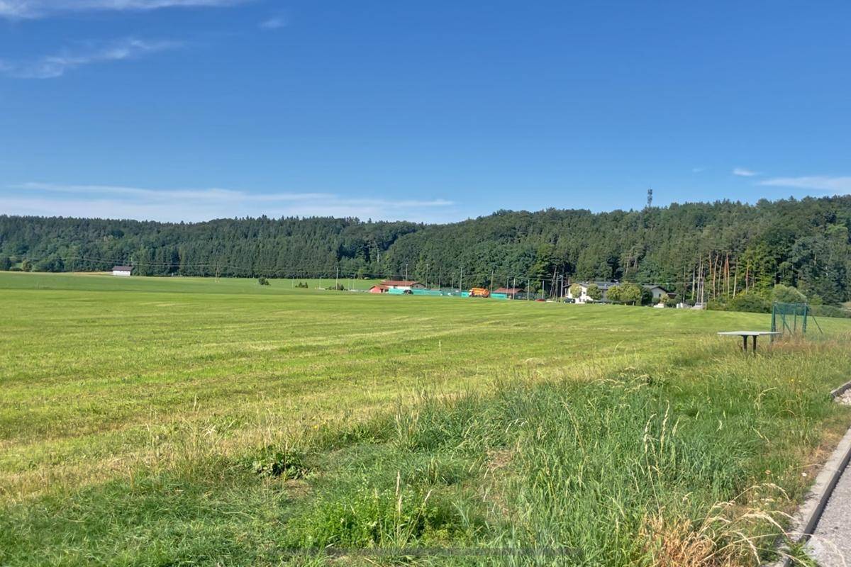 Ausgedehnte grüne Wiese mit dichtem Wald im Hintergrund und einigen Gebäuden am Waldrand.