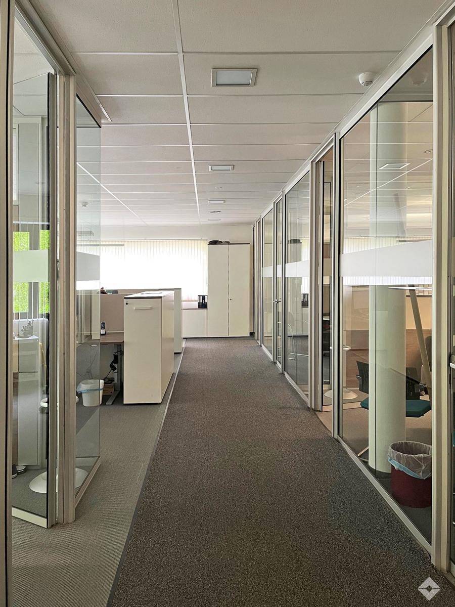 Heller Büroflur mit modernen Glaswänden, die zu einzelnen Büros führen und viel Tageslicht hereinlassen.