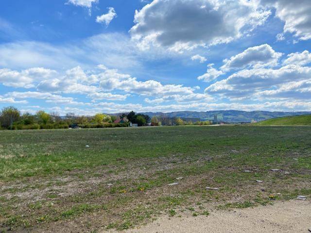 Weitläufiges grünes Feld unter blauem Himmel mit weißen Wolken, umgeben von Bäumen und einer Bergkulisse.
