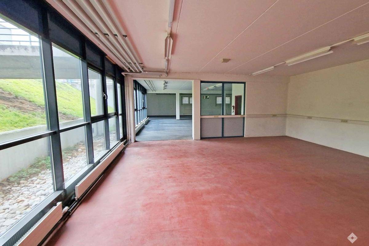 hoelzlhubnerimmobilien-betriebsliegenschaft-wals