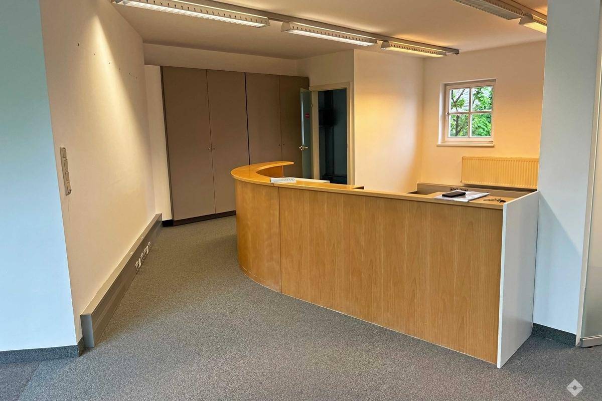 Empfangsbereich eines Büros mit geschwungener Holztheke und Teppichboden.